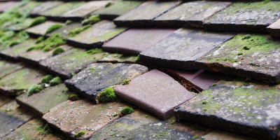 Shutford roof repair costs
